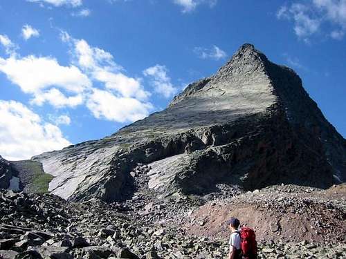 View of Wham Ridge from the...