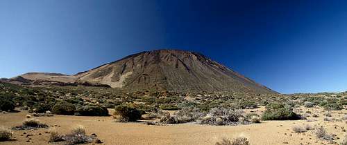 Broad backed Teide seen during the traverse to Montaña Blanca