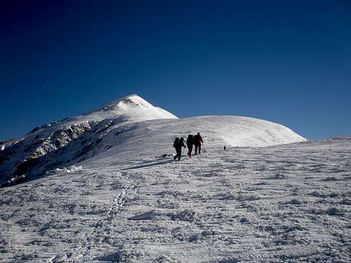 Towards Larragoiti