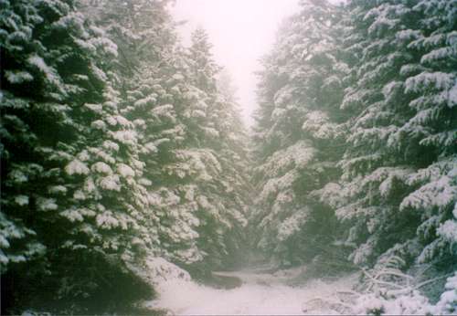 First snow in Vardoussia(11 november 2006)