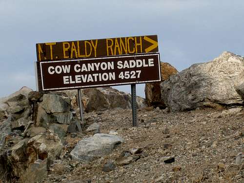 Cow Canyon Saddle, San Gabriel Mtns.