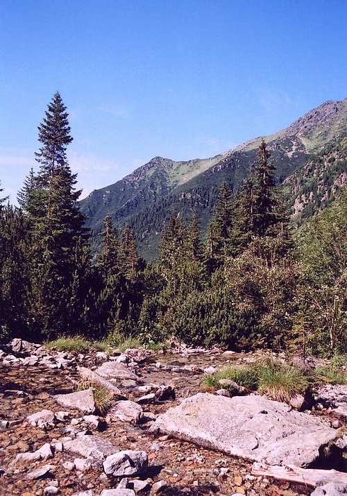 In Rackova valley - Western Tatras