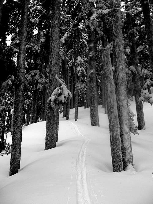 Mount Catherine ski tracks