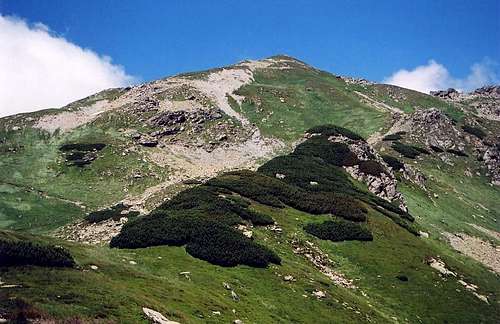 Placlive peak(2125) above Ziarska pass