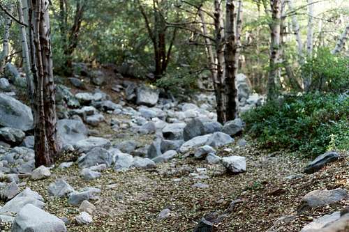 Creek at Switzer's Picnic Area Trailhead