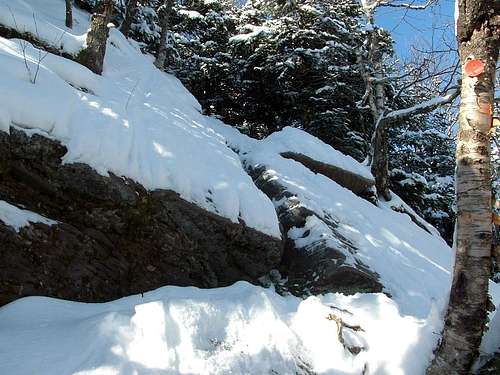 Slide Mtn. Terrain