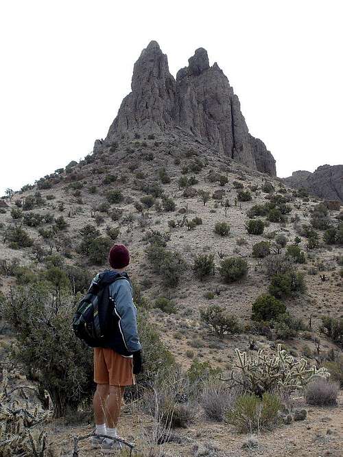 Castle Peaks, Mojave