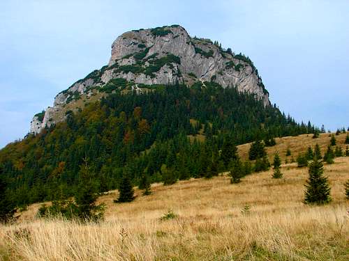 Malý Rozsutec (1343 m)