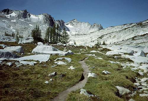 14 Meadows in the Upper Basin