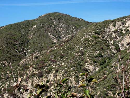 Hastings Peak (4,000+), San Gabriel Mtns.