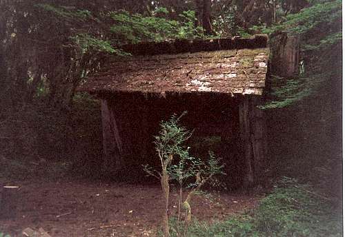 Old Shelter