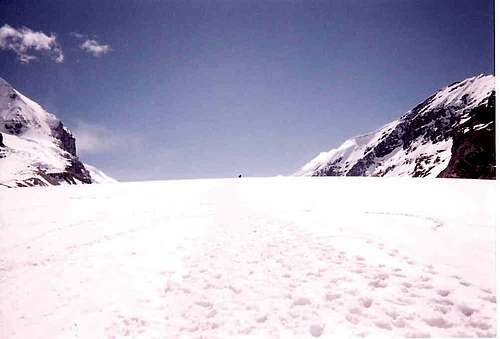 On The Icefield...