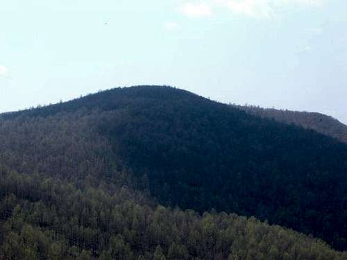 The heavily tree-covered Weaver Mountain