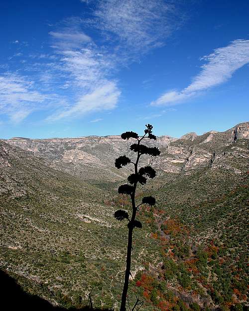 Mckittrick Canyon Overview