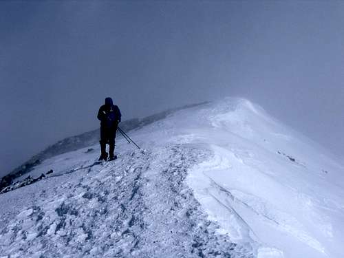 Summit Ridge of Quandary