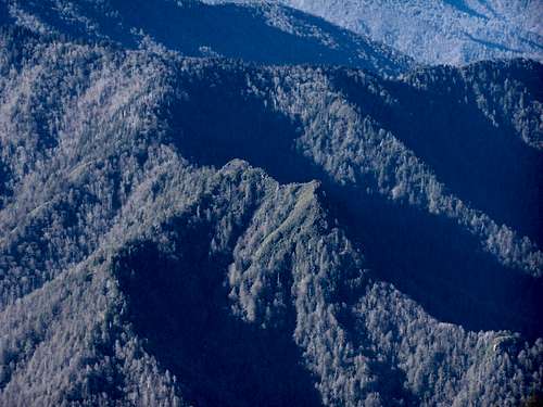 Chimney Tops from Mt. Leconte