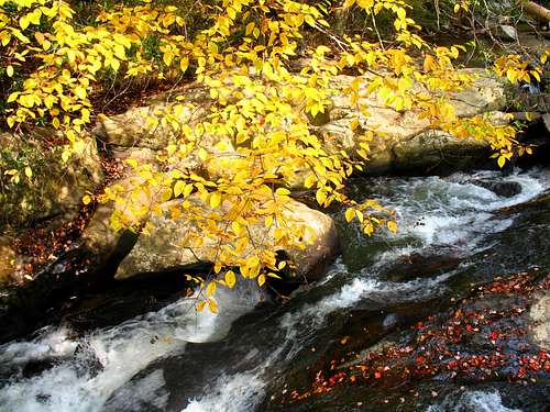 Elk River Colors