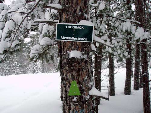 Snowshoe to Hogback