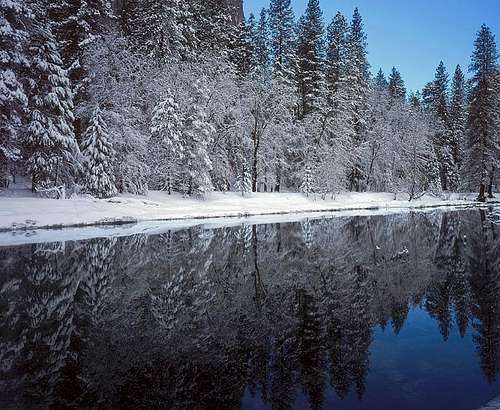 Snowy Merced River Tree Reflection