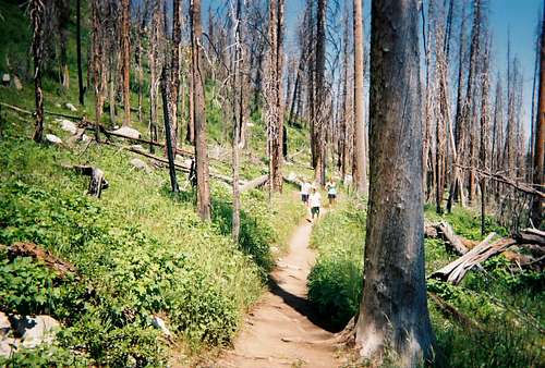 Jenny Lake Loop