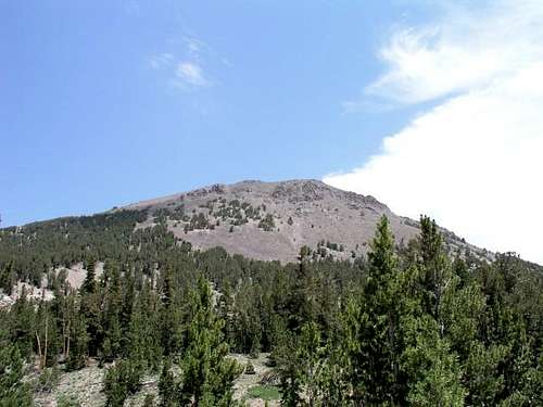 Mt. Rose from the main trail