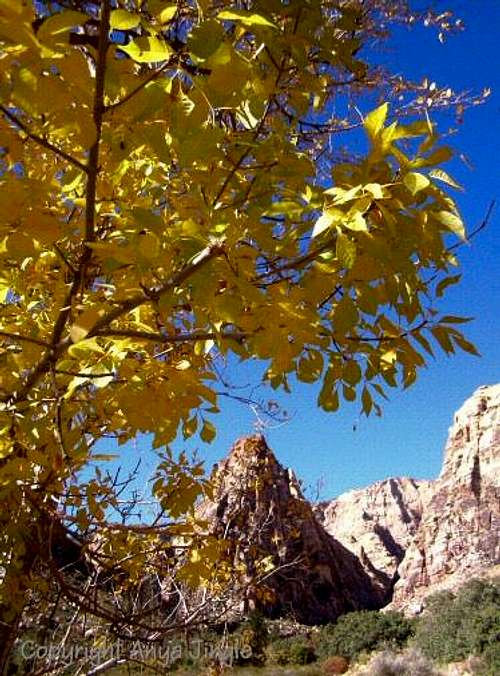 Fall colors and Mescalito Peak