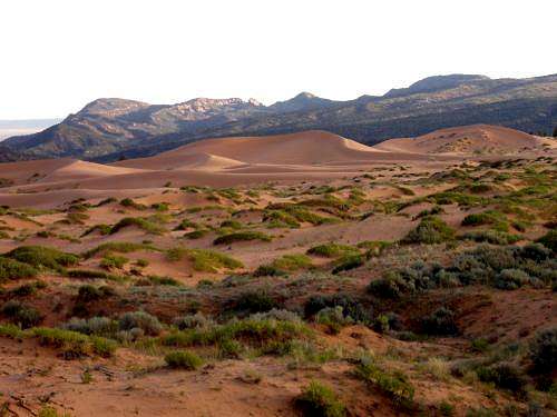 Coral Pink Sand Dunes Scenery