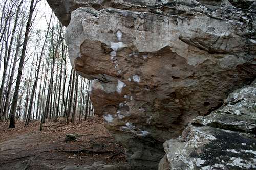 Moss Rock Preserve