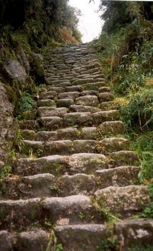 steps on the inca trail