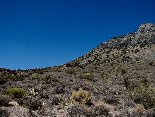 Jaybird Peak
