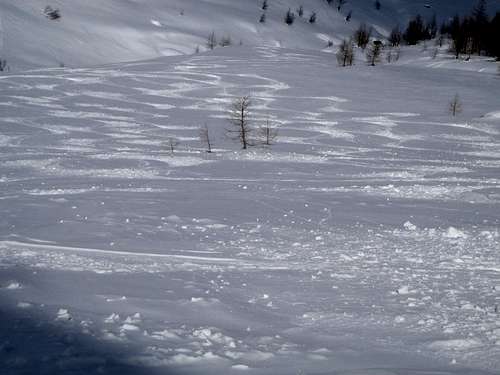 Ski tracers in powder!