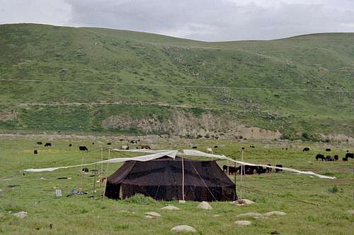 Kham Tibetan yak herding nomad tent