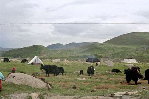 Kham Tibetan nomads