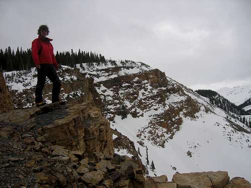 Cliff Near Aspen