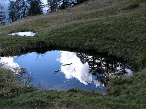 Reflection in the puddle I
