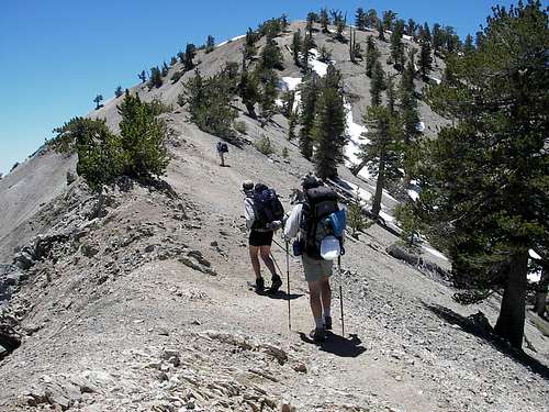 PCT Hikers Going up Baden-Powell