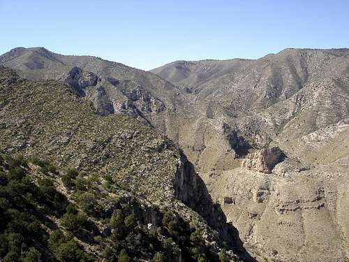Shumard from Guadalupe Trail