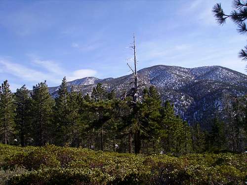 San Bernadino Peak Divide Trail