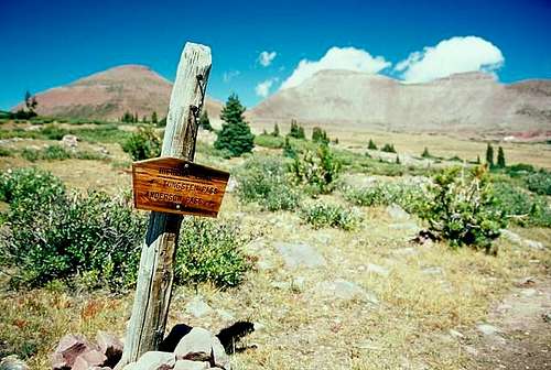 A Uintas Trail Sign