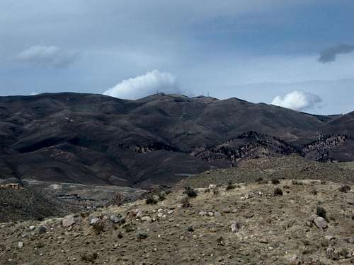 Peavine from the Steamboat Ditch