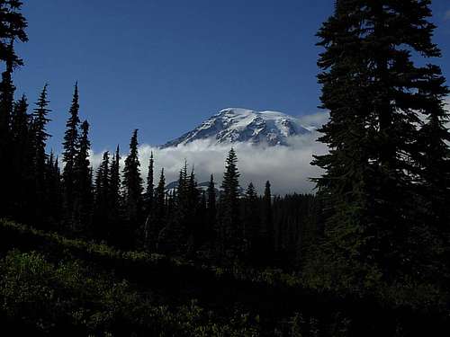 Mt. Rainier from the trail to the Plummer-Pinnacle saddle