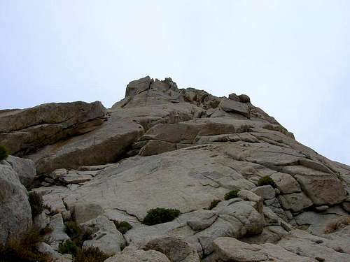 5th finger's south face
