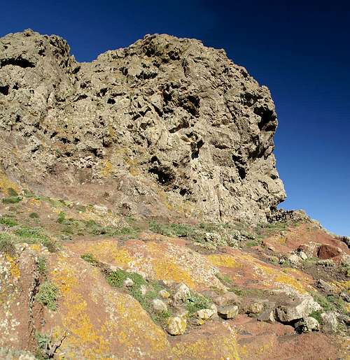 Roque Marubio