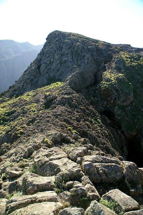 Roque Marubio