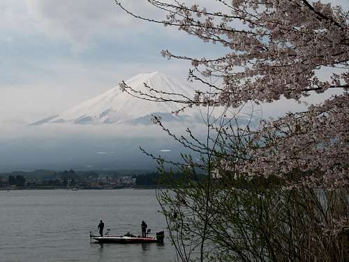 Mount Fuji seen from Kawaguchiko lake with cherry blossoms, 04/20/07