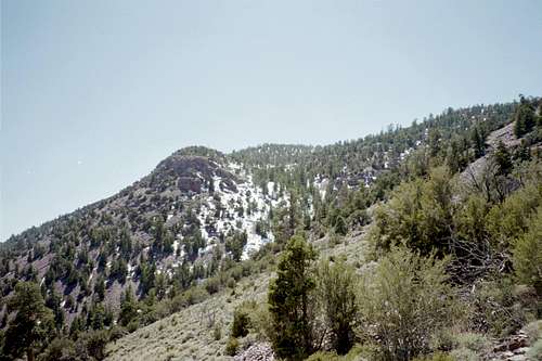 Frisco Peak