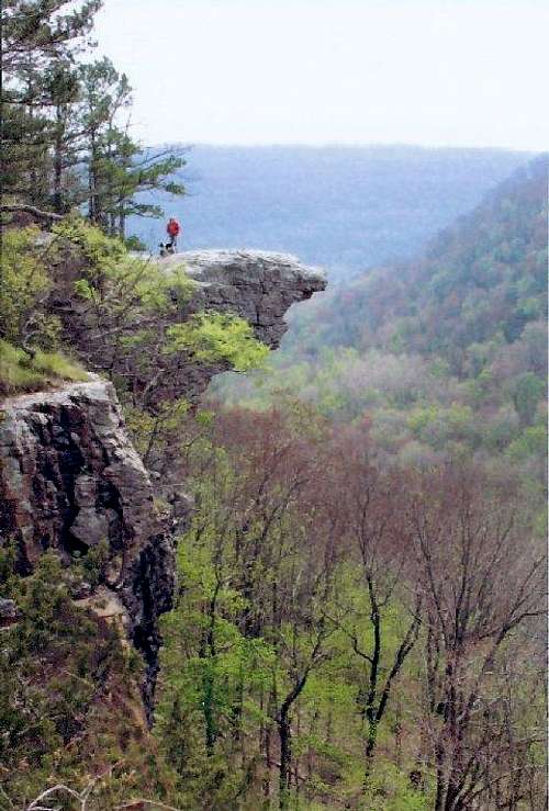 Hawkbill Crag