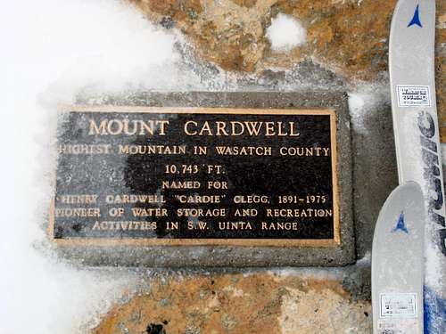 Mt. Cardwell, UT.