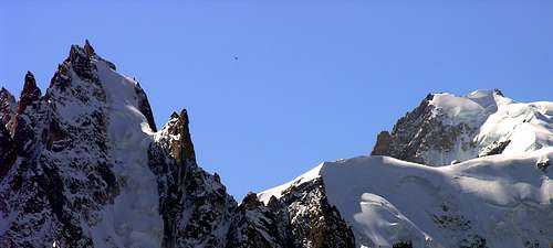 L'aiguille du Plan (3673 m) e il Mont Blanc du Tacul (4248 m)