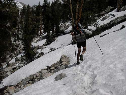 Go-Big Leading Through the Snow